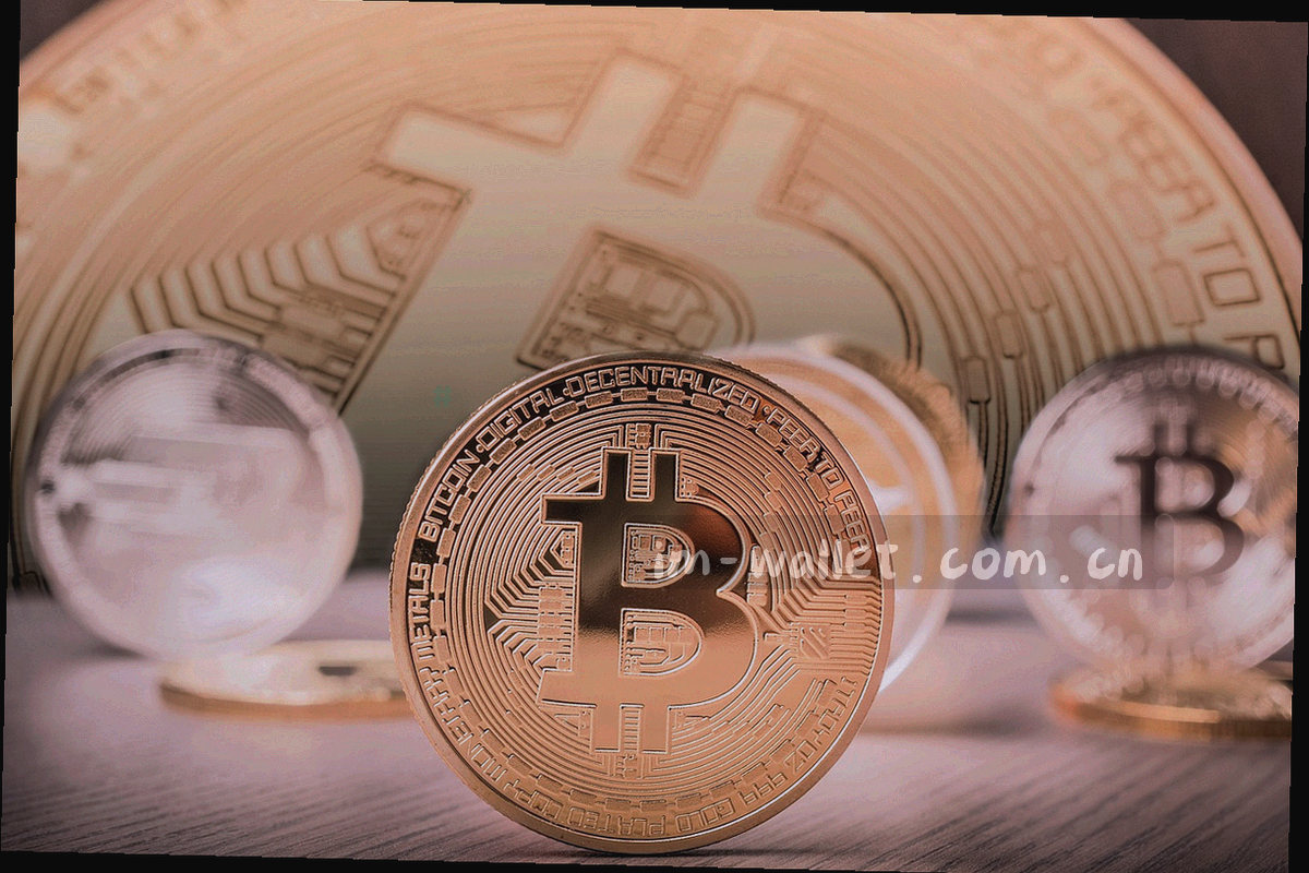 地址校验徽标与转账状态的组合线性图标，包含校验勾与进度状态